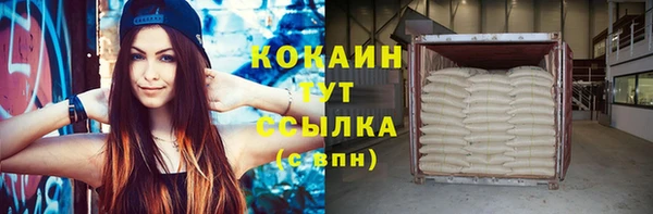 молекула духа Вяземский