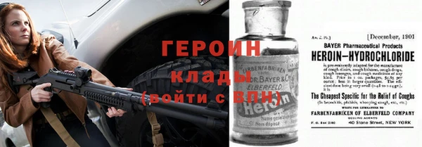 молекула духа Вяземский