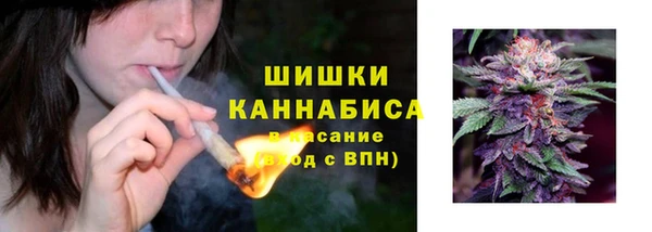 молекула духа Вязьма