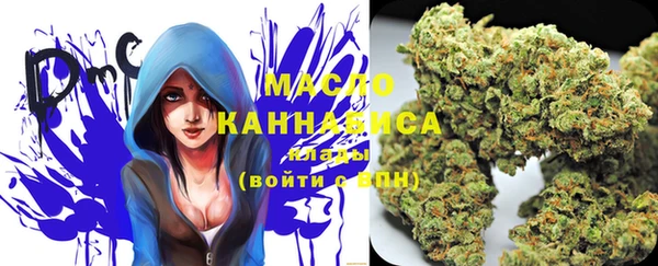 шишки Бородино
