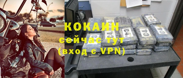 дживик Горняк