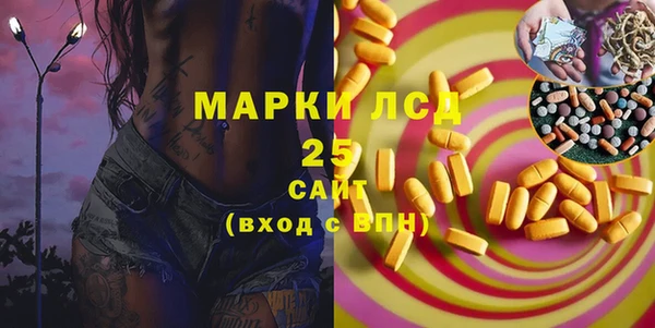 PSILOCYBIN Горнозаводск