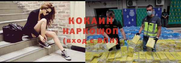 молекула духа Вязьма