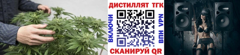 купить наркоту  Дубовка  блэк спрут   ТГК вейп с тгк 