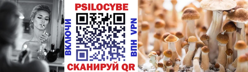 Галлюциногенные грибы Magic Shrooms Дубовка