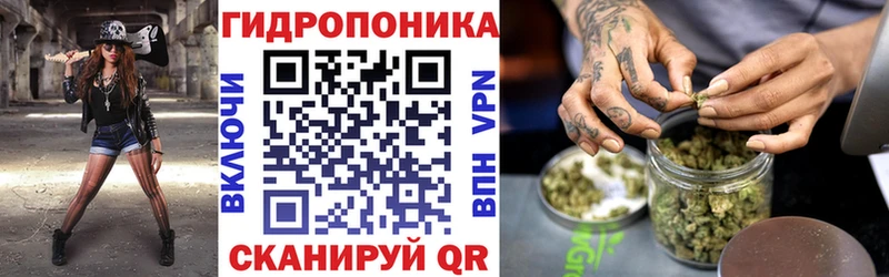 кракен онион  Дубовка  shop как зайти  Шишки марихуана план 